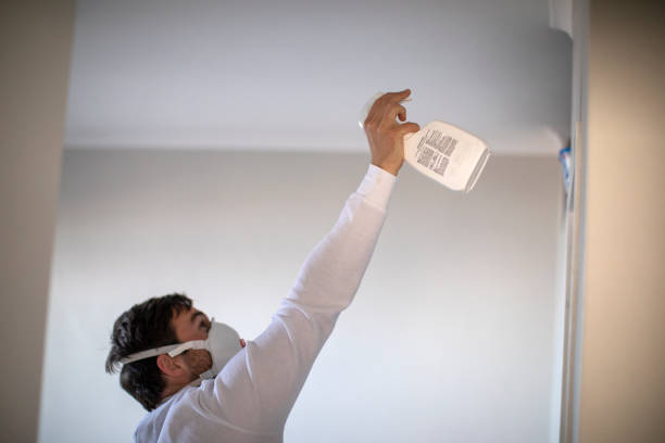 Best HVAC Mold Remediation in Suisun City, CA