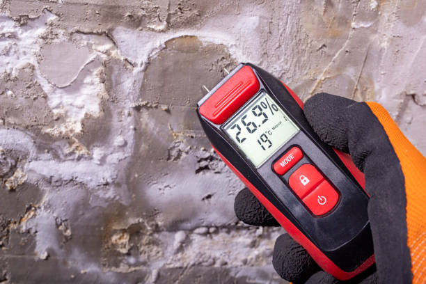 Best DIY Mold Remediation Support Services in Suisun City, CA