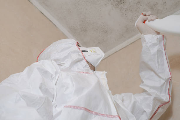 Best Industrial Mold Remediation in Suisun City, CA