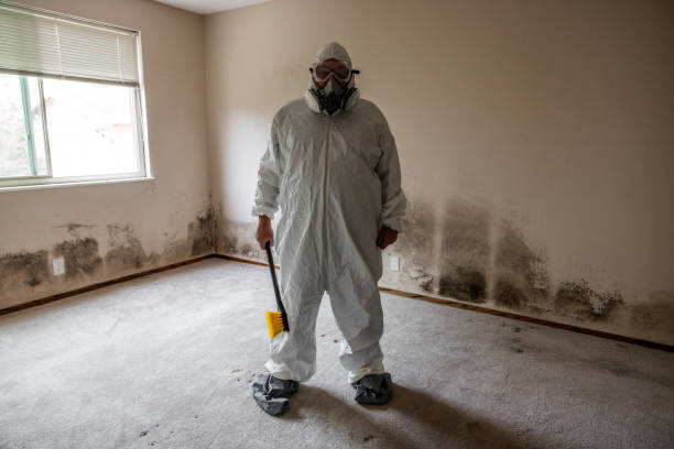 Best Bathroom Mold Remediation in Suisun City, CA